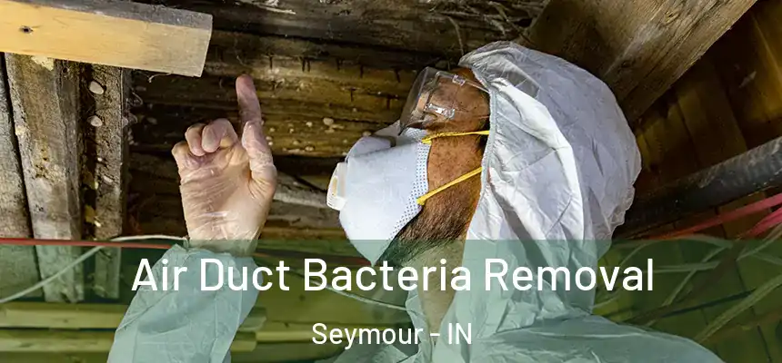  Air Duct Bacteria Removal Seymour - IN