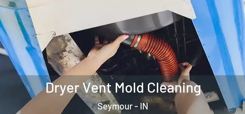  Dryer Vent Mold Cleaning Seymour - IN