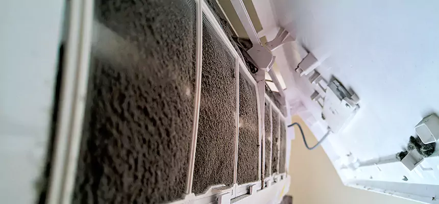 Preventive Air Duct Bacteria Removal in Seymour