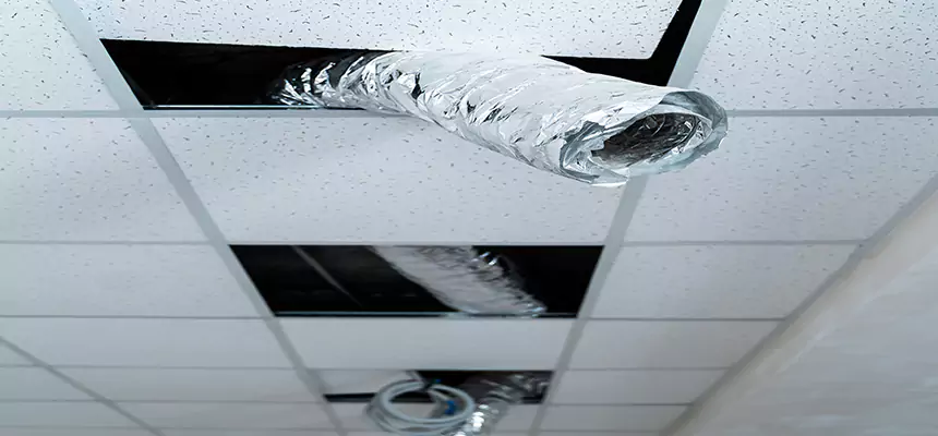 Affordable HVAC Sanitizing After Pest Removal in Seymour