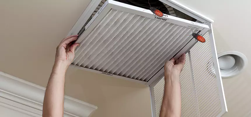 Our Insect Removal from Air Ducts Services in Seymour, IN