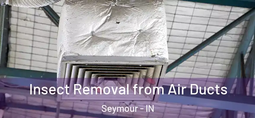  Insect Removal from Air Ducts Seymour - IN