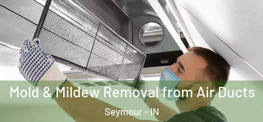  Mold & Mildew Removal from Air Ducts Seymour - IN