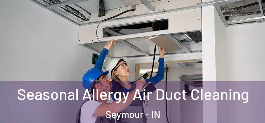  Seasonal Allergy Air Duct Cleaning Seymour - IN