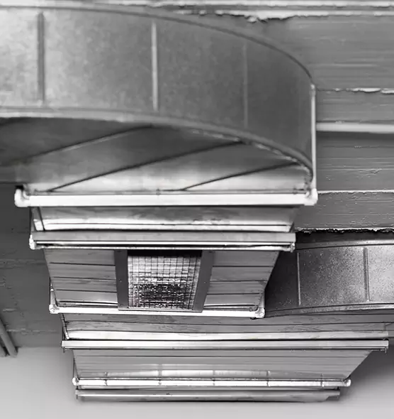 Professional Air Duct Pest Removal in Seymour, IN