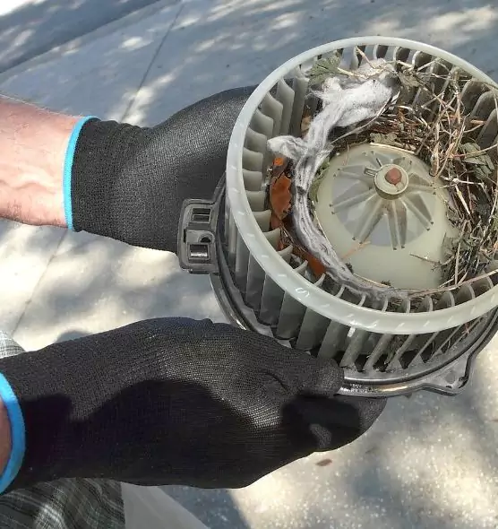 About Air Duct Rat Removal in Seymour, IN