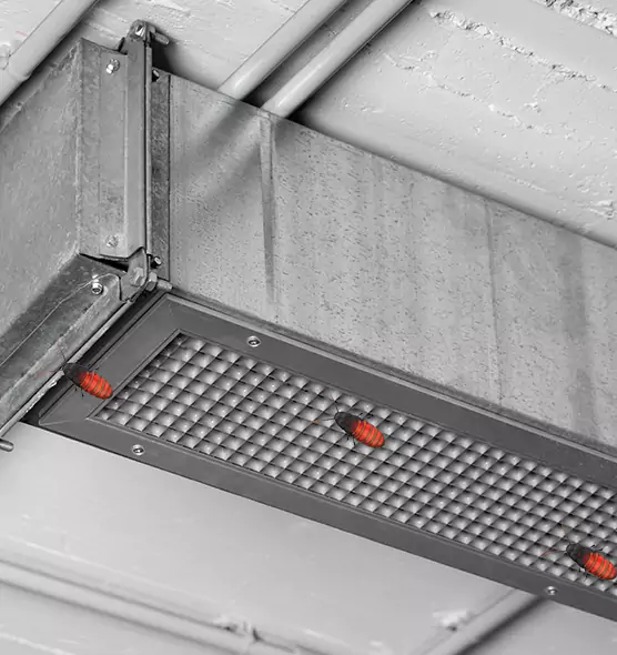 Affordable Insect Removal from Air Ducts in Seymour, IN