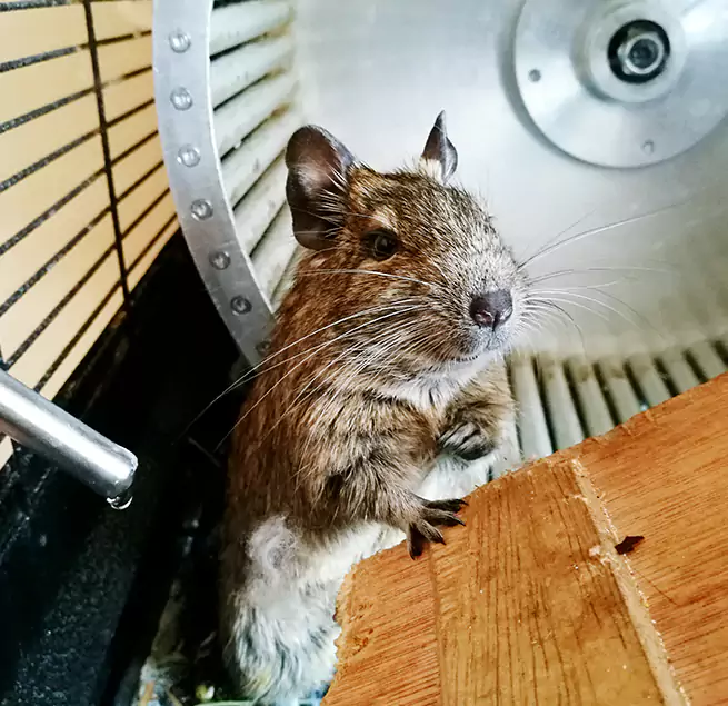 Why Homeowners & Businesses Trust Us Seymour, IN?